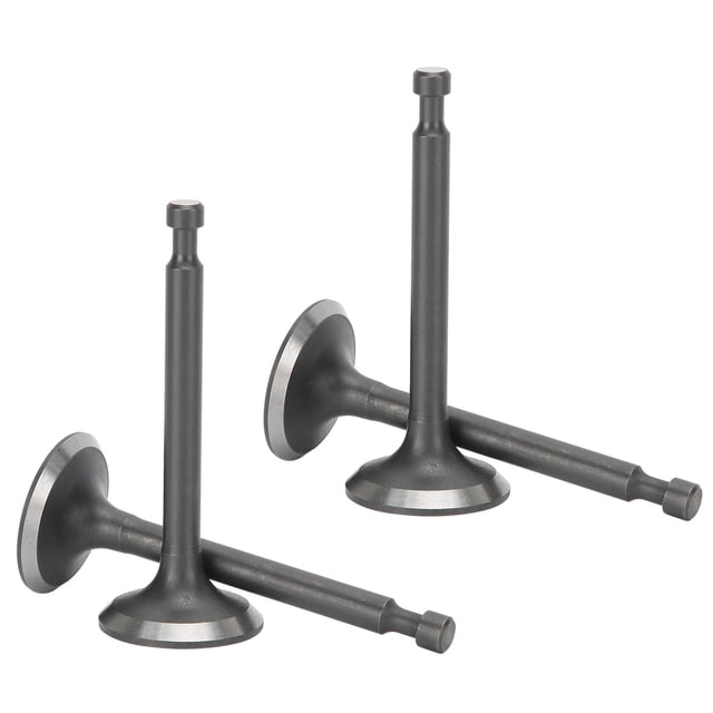 Gasoline Accessories, Intake Exhaust Valve, High Performance Durable Practical For Fishery Generators Agriculture Generators