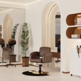 thumbnail image 4 of Baasha Premium Brown and Gold Hair Salon Chair, Comfortable Stylist Chair with Memory Sponge, 360° Swivel, Steel Frame, Weight Capacity Up to 330 lbs, 4 of 9