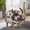 Brown+White + Polyester + Velvet + Foam, variant on Cow Shaped Ottoman Footstool, Animal Accent Stool with Velvet Fabric and Wood Legs, Modern Home Decor