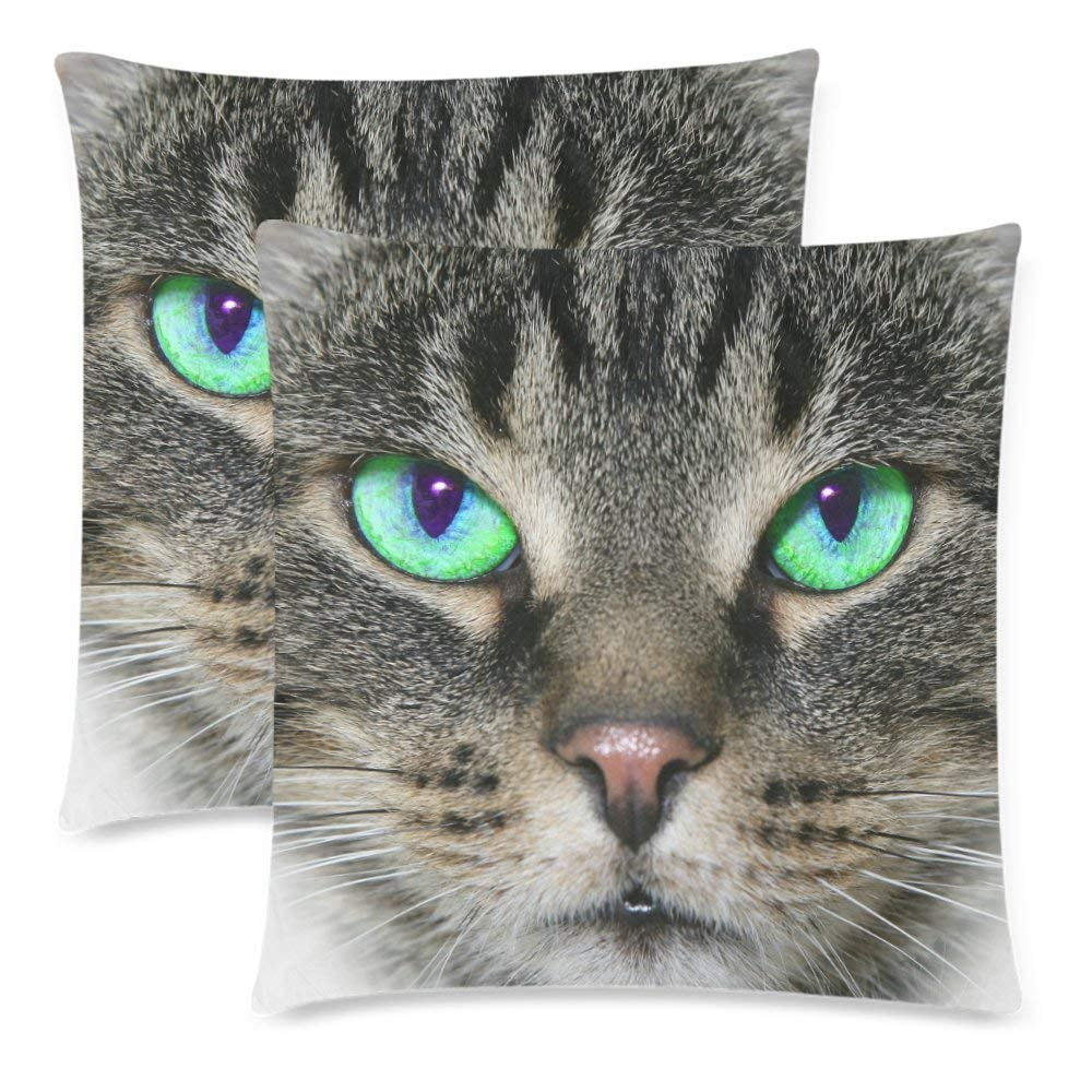 BPBOP Cat Face Pillow Covers Pillow Cases Two Sides Printing 18x18