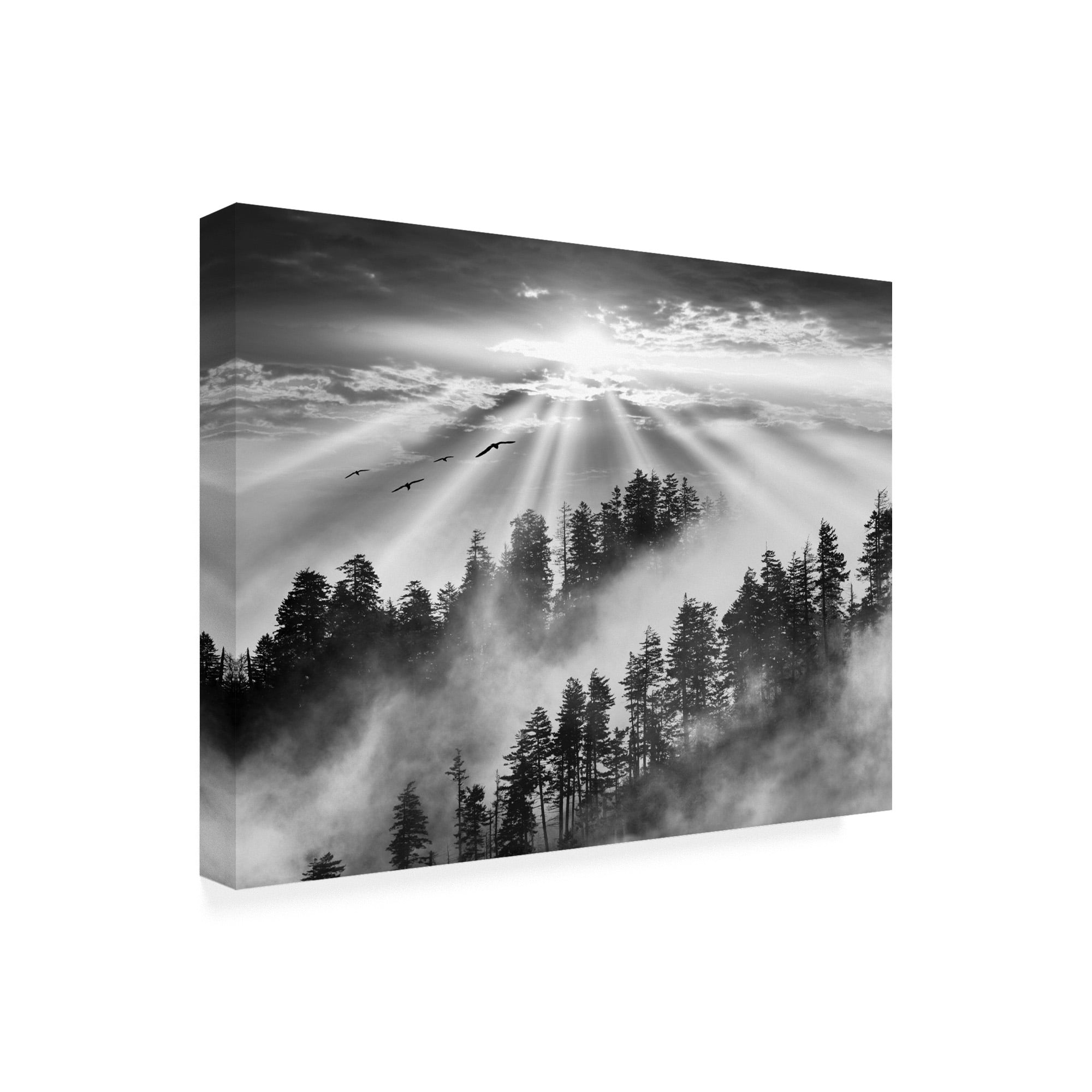 Trademark Fine Art 'Smoky Mountain Sunrise Tennessee Black And White' Canvas Art by Monte Nagler