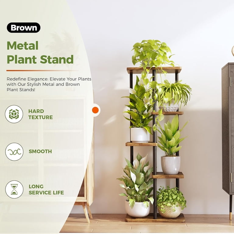tall live indoor plants voelk-art-plants-house-plants -default-title-8in-pot-sansevieria-golden-flame-la-rubia-snake-plant-live- house-plant-air-purifier-feet-tall-get-similar-