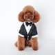 thumbnail image 4 of Ropa para perros Otoño e invierno Ropa de invierno para perros Ropa de peluche Golden Retriever Samo Traje para mascotas de otoño e invierno, 4 of 6