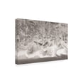 thumbnail image 2 of Trademark Fine Art 'Mosaic of ice crystals' Canvas Art by Kurt Shaffer Photographs, 2 of 3