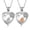 2 Pack, variant on Pet Ashes Necklace for Dog Engravable Pet Cremation Urn Necklace for Ashes Cremation Necklace for Pet Ashes Stainless Steel Ash Necklace Memorial Ash Holder