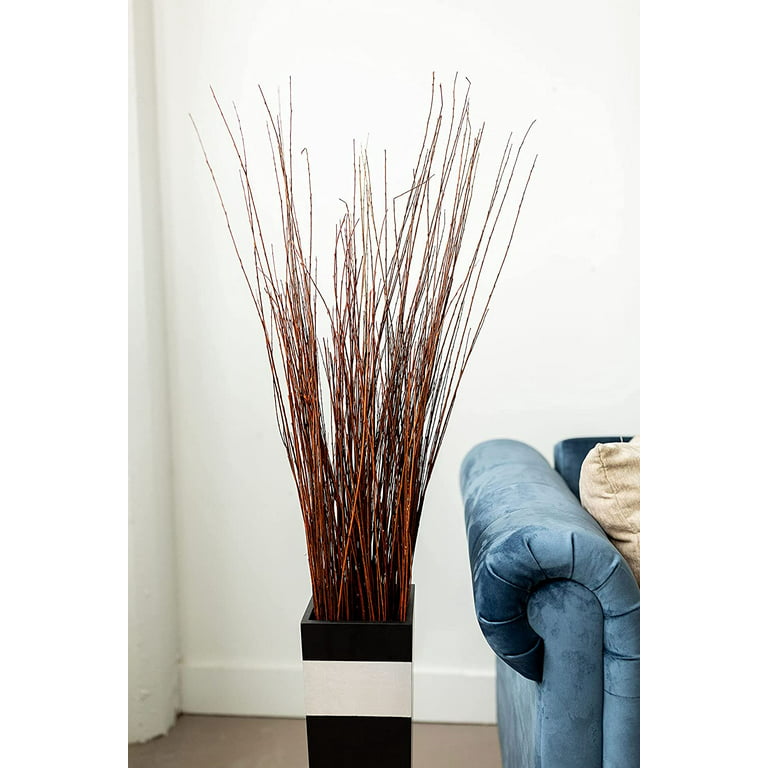 Green Floral Craft  60-70 Stem Dried Asian Willow Decorative Branches 3-4  Feet Tall Floor Vase Filler (Light Mahogany) 