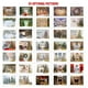thumbnail image 2 of Pañito fotográfico de fondo 2.1 * 1.5 m / 7 * 5 pies Fondo de Navidad Fondo de fotografía Fondos de fotografía de retrato Accesorios de estudio fotográfico para decoración navideña Bebé Niños Retratos, 2 of 7