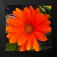 thumbnail image 2 of Grayscale 12x12 Black Modern Framed Museum Art Print Titled - Orange Wildflower I, 2 of 5
