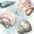 thumbnail image 3 of Tre Sorelle Studios 20x20 Black Modern Framed Museum Art Print Titled - Watercolor Shell Toss I, 3 of 5