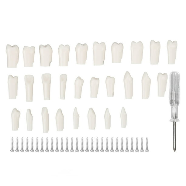Juegos de dientes postizos, 28 piezas Pieza de dientes extraíbles Pieza de dientes extraíbles Dientes postizos Salida de alta intensidad