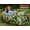 G Leaf, variant on WEKAPO Inflatable Lounger Air Sofa Hammock-Portable,Water Proof& Anti-Air Leaking Design-Ideal Couch for Backyard Lakeside Beach Traveling Camping Picnics & Music Festivals