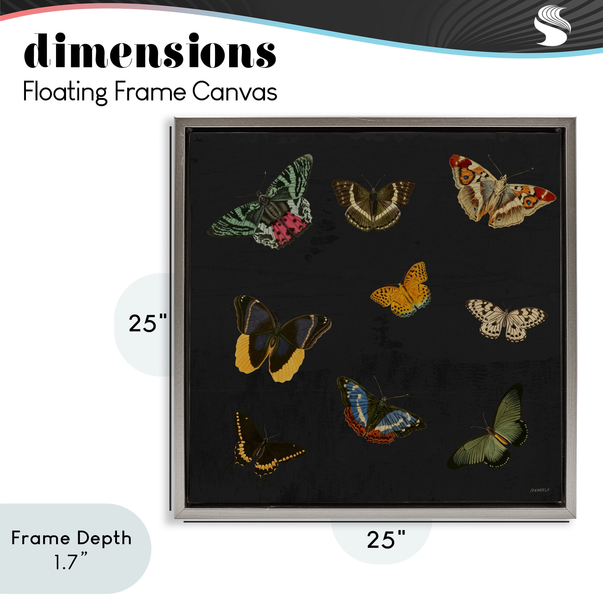 Stupell Industries Butterfly & Moth Collection Gray Framed Floater Canvas Wall Art, design by Dan Meneely