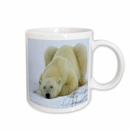 

3dRose Polar Bear Nap Ceramic Mug 15-ounce