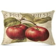 thumbnail image 2 of Vintage Apples Plush Pillowcase, Luxury Soft King Pillow Case for Hair and Skin, Standard Size Pillow Covers with Zipper Closure, 21x54in Home Decor Gifts, 2 of 7
