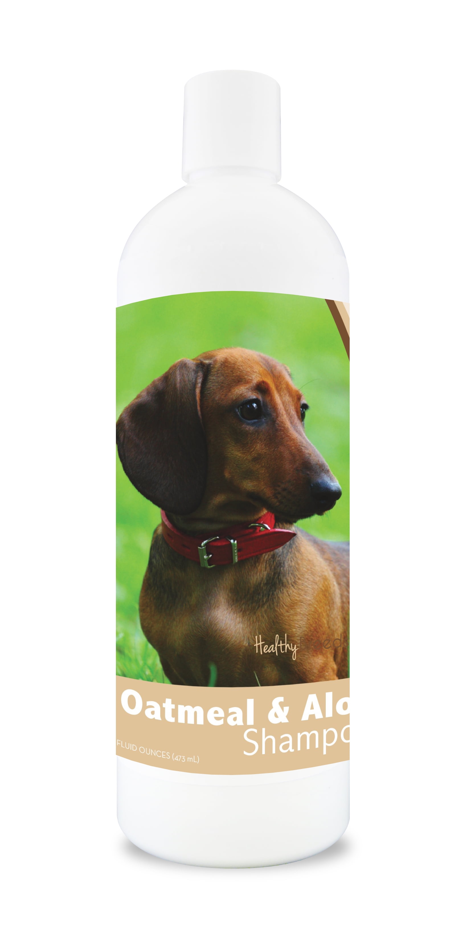 dachshund puppy shampoo