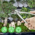 thumbnail image 2 of Bonsai Tools Kit Stainless Steel Bonsai Tree Kit Tools Rustproof Bonsai Starter Trimming Kit Time Saving Bonsai Pruning Kit with Ergonomic Long Handle Easy to Use for Gardening, 2 of 9