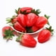 thumbnail image 5 of Fruta Artificial decorativa Mini 40 Uds plástico falso fresa Timcorr rojo y blanco, 5 of 8