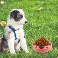 thumbnail image 5 of Cuencos de acero inoxidable para perros, cuencos antideslizantes para comida y agua, para gatos y perros, 2 uds., 5 of 5