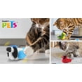thumbnail image 3 of Paquete Kisha 12 kg + 1 juguete sonido de ave real con catnip Fancy pets, 3 of 4