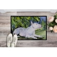 thumbnail image 2 of Carolines Treasures SS8266MAT Paillasson Intérieur Extérieur 18 x 27 Po. Bull Terrier, 2 of 4
