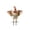 B, variant on Halloween Skeleton Riding Chicken Yard Stake - Metal Ground Plug Garden Decor Garden Set - Whimsical Chicken & Pumpkin Lawn Ornament for Outdoor Patio