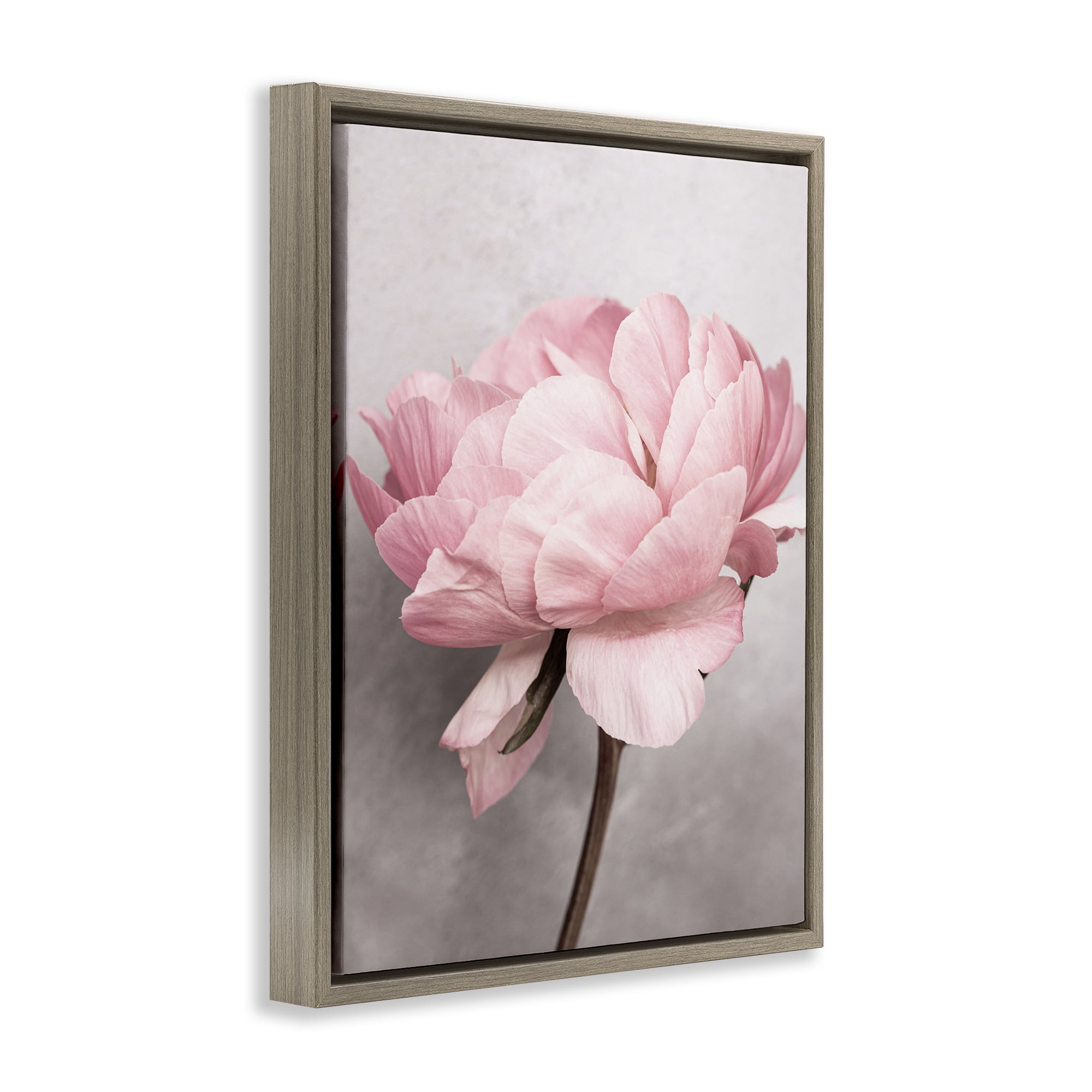 Stupell Industries Blooming Vintage Peony Plants & Flowers Painting Brown Floater Framed Canvas Art Print Wall Art, 17 x 21