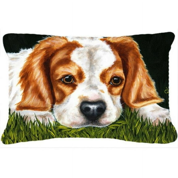 Cavalier Spaniel in the Grass Fabric Decorative Pillow