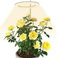 thumbnail image 1 of Everso Lampe de Culture de Plantes LED Mini Lampe de Bureau USB Petite Lampe de Culture de Plantes Hauteur Réglable, Idéale pour Plante d'Intérieur, Décoration Intérieure, 1 of 10