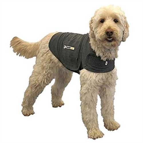 polo dog jacket