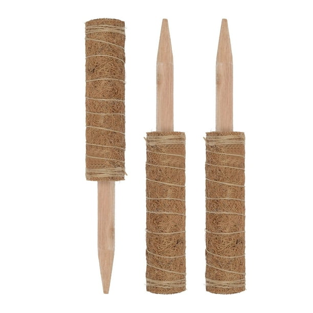Varilla para trepar plantas,Extensión de planta de varillas de trepadoras de plantas de 12 pulgadas,Enredadera de palo en maceta de soporte de tótem de planta,Planta de enredadera de kusrkot Varilla para trepar plantas