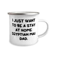thumbnail image 2 of Sarcasm Egyptian Mau Cat Gifts, I Just Want to Be a Stay at Home Egyptian Mau Dad, Unique Idea Holiday 12oz Camper Mug Gifts For Friends, 2 of 2