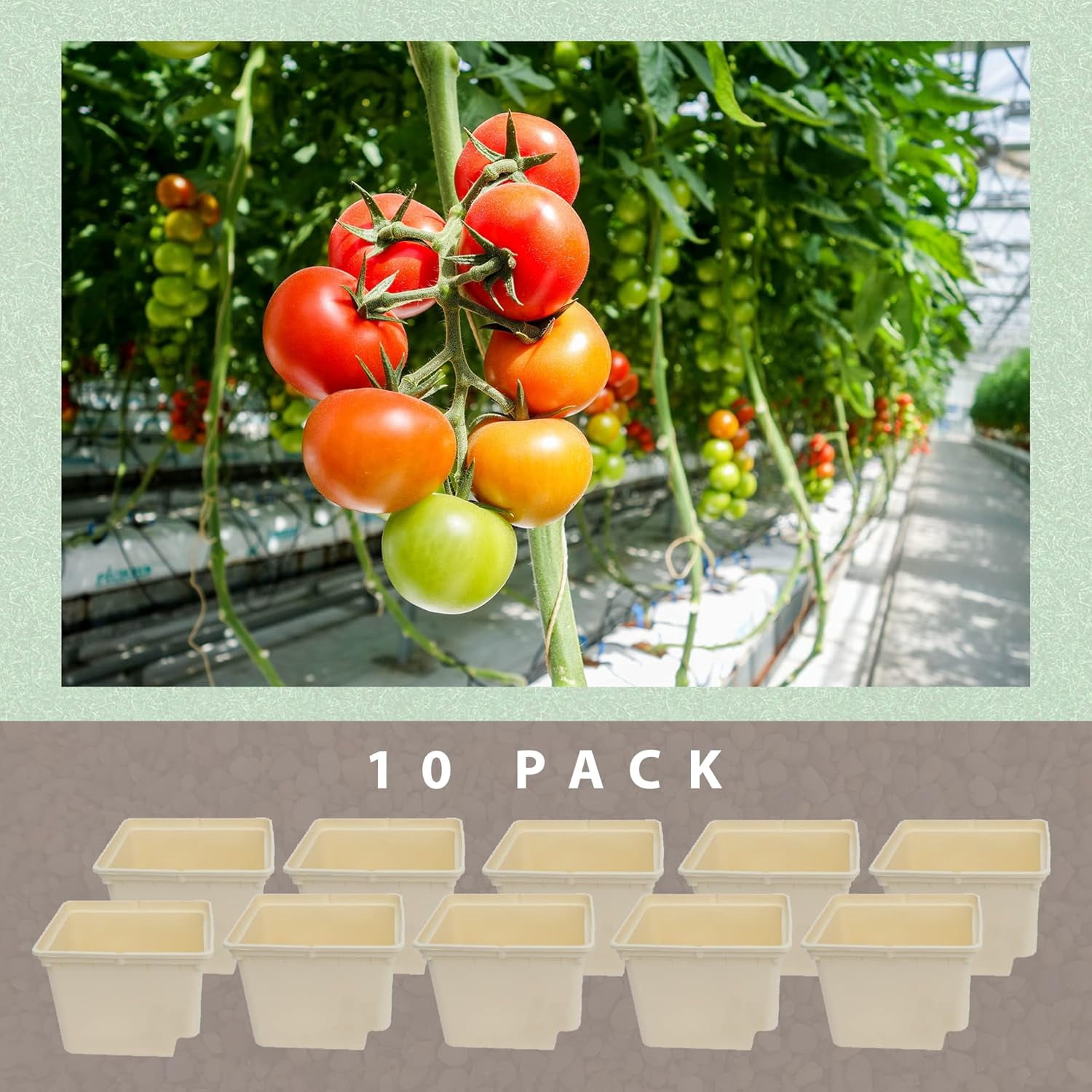 10 Pack Tan Dutch Bucket Hydroponic System – 11 Liter (12" x 10" x 9") Bato Buckets with Siphon Elbows – Indoor & Outdoor Hydroponic Growing Planters