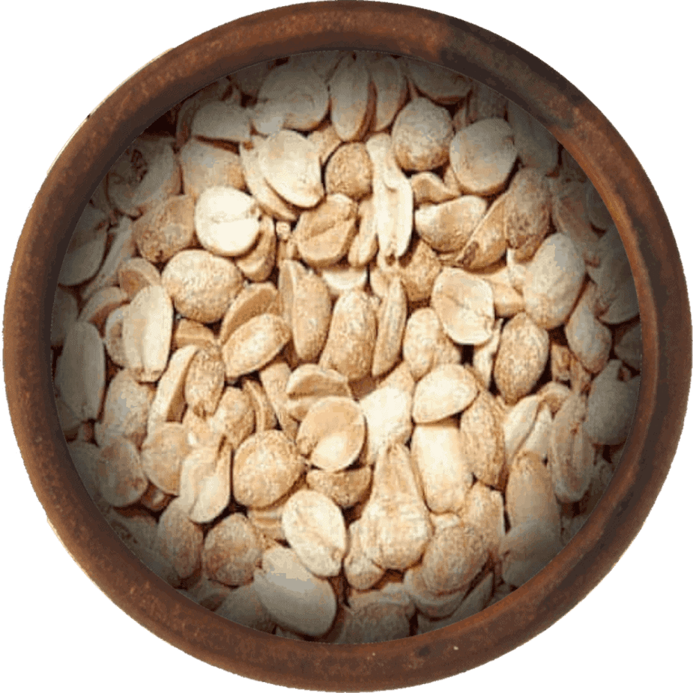 Bulk Roasted And Salted Peanuts 25 Pound Wholesale Box - Fresh New Nuts