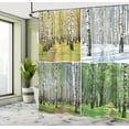 thumbnail image 5 of Ambesonne Forest Shower Curtain, Fall Winter Birch Tree, 69"Wx84"L, Green White, 5 of 5