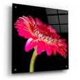 thumbnail image 2 of Epic Art 'Awakening' by Pamela Plummer, Acrylic Glass Wall Art, 24"x24", 2 of 8