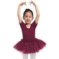 thumbnail image 3 of Dancina Girls Skirted Leotard Sparkle Short Sleeve Tutu Ballet Dress, 3 of 10