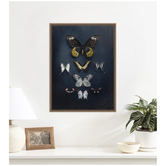 Kate and Laurel Framed Canvas Wall Art Print Butterfly Study Dark by Emiko and Mark Franzen F2 Images, 18 x 24 Sylvie Beaded Dark Gold Frame, Vintage, Animal Art for Wall Decor