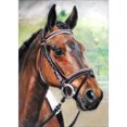thumbnail image 1 of Taladro Pintura Diamante (DE4115) 5D DIY Completo Caballo Punto de Cruz Bordado Kit (F) 20X30cm FLhrweasw Nuevo, 1 of 1