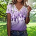 thumbnail image 1 of Camiseta Camiseta de manga corta de encaje con cuello en V y estampado suelto informal para mujer Cgtredaw Para estrenar, 1 of 1