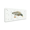thumbnail image 2 of Trademark Fine Art 'Duck 3' Canvas Art by Michelle Campbell, 2 of 3
