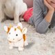thumbnail image 5 of Peluche de vaca de pelo corto y suave, juguete interactivo con movimiento y sonido, simpático animal de granja para niños, 5 of 5