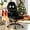 Black, variant on Computer Chair Ergonomic Desk Chair, Racing Gaming Chair with Armrest &Height Adjustable, High Back Computer E-Sports Chair, Task Swivel Executive Seat PU Leather Chair for Home Office (Camo)