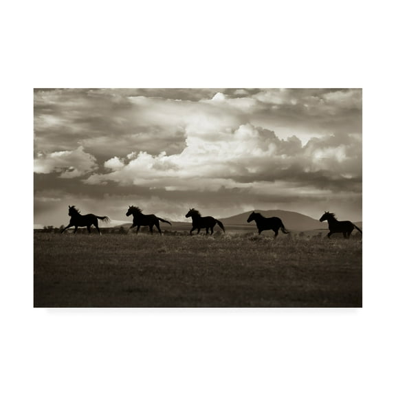 Trademark Fine Art 'Racing the Clouds' Canvas Art by Lisa Dearin