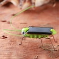 thumbnail image 4 of Robot Grasshopper de juguete con energía solar HUOGUO para niños, 4 of 5