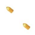 thumbnail image 1 of Advancent 2 piezas exquisitas tapas de válvula de neumático delicados accesorios profesionales para bicicleta boquilla de aire Kit de herramientas para Type1 NO1 Advancent CBP211616, 1 of 6