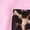 #01 Pink, variant on Toddler Infant Kid Baby Girl Shorts Outfit Short Sleeve Leopard Vest Top Cheetah Print Pants Summer Clothes Set
