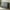 Grey, variant on Mjkone Queen Murphy Bed Cabinet with Built-in 3 Charging Station and Storage Drawers,Murphy Cube Chest Bed with Foam Mattress,Grey