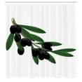 thumbnail image 2 of Ambesonne Olive Green Shower Curtain, Black Botanical Motifs, 69"Wx70"L, Charcoal Grey and Sepia, 2 of 4