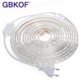 thumbnail image 1 of Tira de luces LED SMD 5050 AC220V, 60 ledes/m, resistente al agua, con enchufe de alimentación de 1M/2M/3M/5M/6M/8M/9M/10M/15M/20M Tan Jianjun unisex, 1 of 1