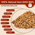thumbnail image 5 of Alimento para gallinas BUNTIE WORMS, larvas secas de mosca soldado negra, 2,5 kg, 5 of 5